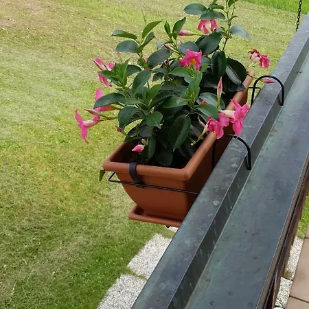 Graziosa Bifamiliare Ad Con Giardino Privato * Asiago